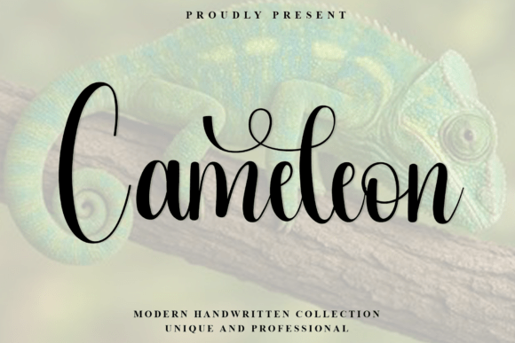 Cameleon: A Fresh Take on Handwritten Design